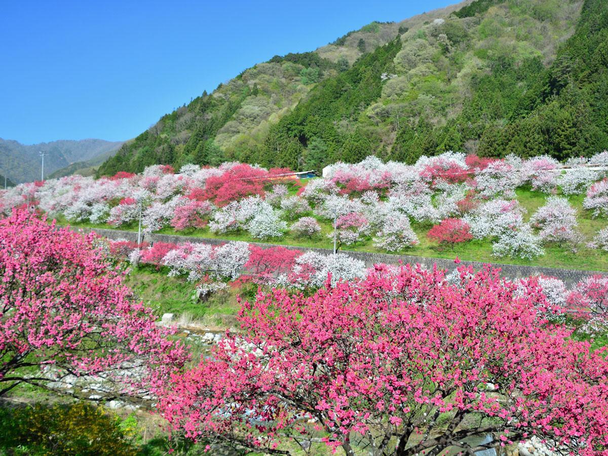 ホテル おおぐて湖畔しらさぎ荘 下條村 エクステリア 写真